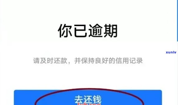 泰州普洱茶 *** 加盟：全面了解、支持与利润，助您成功开启茶叶事业