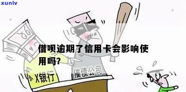 泰州普洱茶 *** 加盟：全面了解、支持与利润，助您成功开启茶叶事业