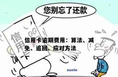 探索信用卡逾期处罚：如何应对、罚款计算及信用恢复策略