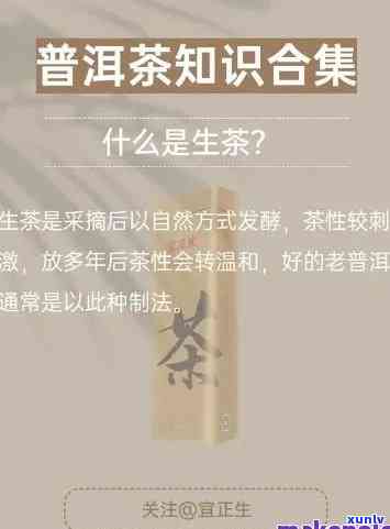 普洱茶知识100讲-选择题汇总及小知识普及