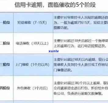 信用卡逾期处理全指南：如何应对逾期困境，挽回信用与财务