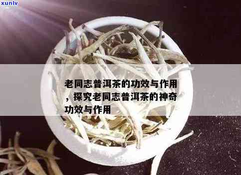 老同志生普洱茶：品质、收藏与推荐，是否值得尝试？同时谈其功效作用。