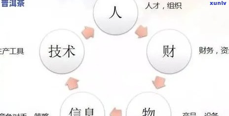 普洱茶创业经验分析怎么写：掌握成功要点与避免陷阱