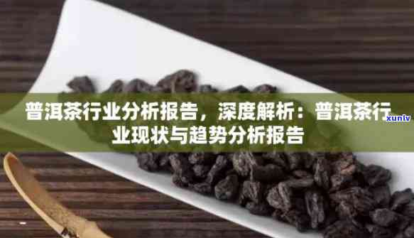 普洱茶创业经验分析