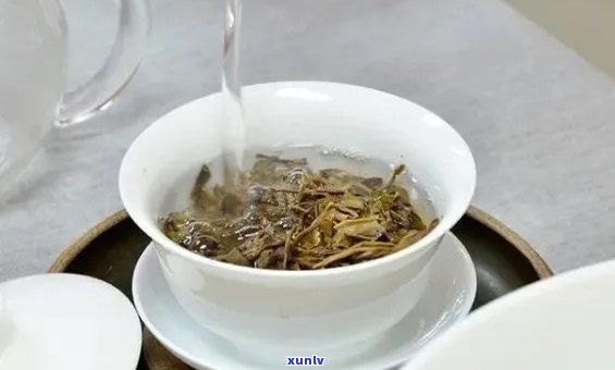 白茶与普洱生茶同泡：一场独特的茶艺体验探讨