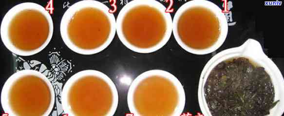 老谈茶第三十五期：全面解读茶叶种类、泡法与品鉴技巧，让你成为茶叶专家