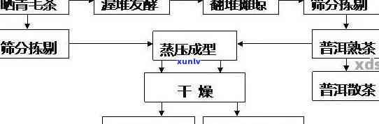 云南普洱茶种植的综合管理与创新技术：实践解析