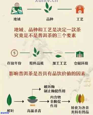 云南普洱茶种植的综合管理与创新技术：实践解析