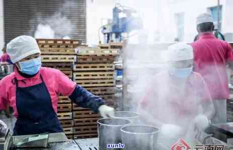 大益普洱茶市场价格走势分析：春茶节的影响及其未来趋势