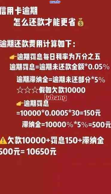 考研过程中可以佩戴首饰吗？有哪些注意事项？如何选择合适的首饰？