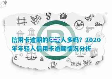 2020年年轻人信用卡逾期现象的知识解析与应对策略