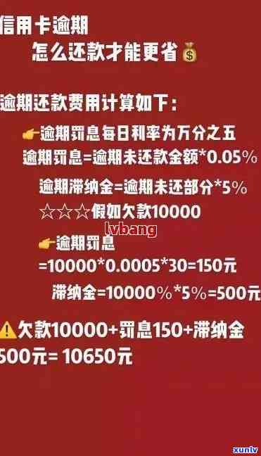 逾期信用卡还款全攻略：滞纳金减免、期还款方案一览