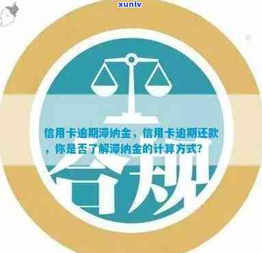 逾期信用卡还款全攻略：滞纳金减免、期还款方案一览