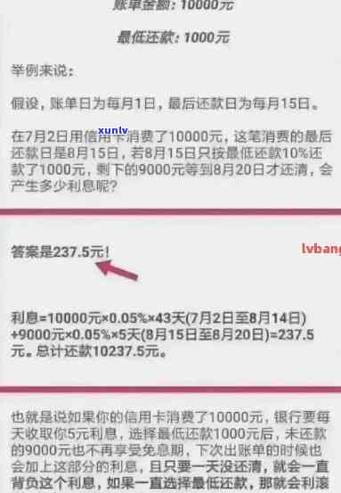 逾期信用卡还款全攻略：滞纳金减免、期还款方案一览