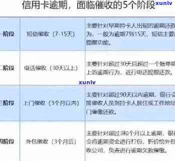 逾期欠款通知函：行动与策略