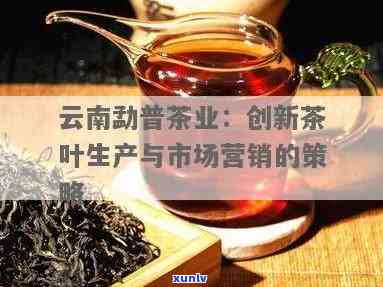 云南普洱茶营销策略分析：策划方案与实战解析