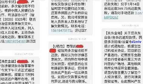 信用卡大额欠款逾期：被银行起诉的风险与应对策略