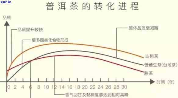 普洱茶生命周期分析