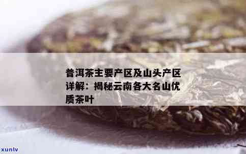 云南普洱茶哪个产区性价比高？山头与口感的完美结合