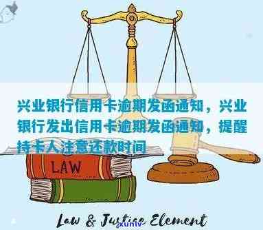 全面解析普洱茶之一人何仕华版比腊告：历、 *** 工艺、品鉴 *** 与收藏价值