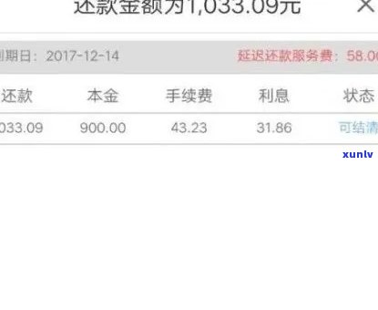 如何查询信用卡逾期本金的还款进度以及剩余未还金额？