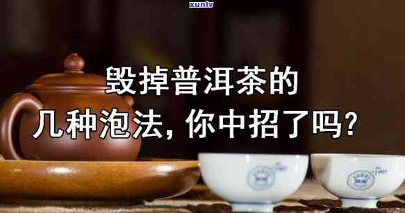 氏普洱茶旗舰店：优质普洱茶品种、价格、功效、泡法全方位解析与选购指南