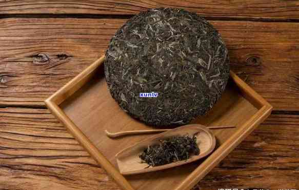 普洱茶的全方位存指南：从选购到品鉴，让你的普洱茶更持久