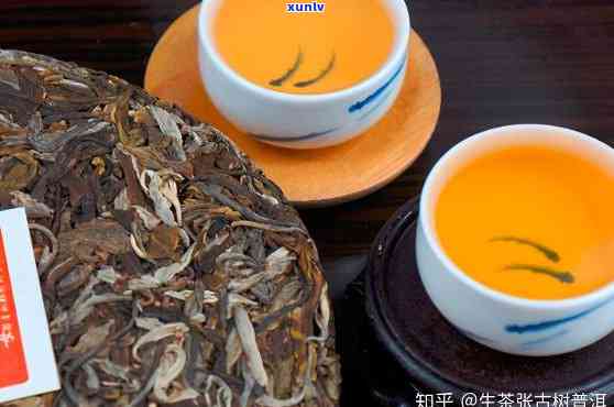 普洱茶的全方位存指南：从选购到品鉴，让你的普洱茶更持久