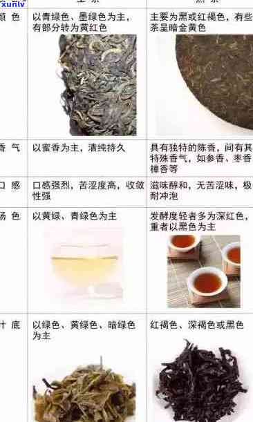 普洱茶专卖店：品茗普洱，了解种类、功效与泡法的全方位指南