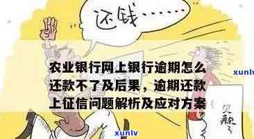 农行信用卡逾期还款问题解决 *** 与注意事项