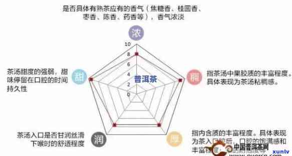 探寻普洱茶熟茶的香气奥秘：哪些香味成分构成了迷人的综合体