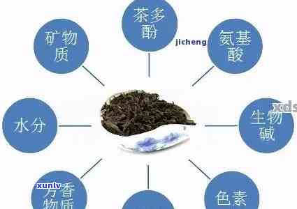 探寻普洱茶熟茶的香气奥秘：哪些香味成分构成了迷人的综合体