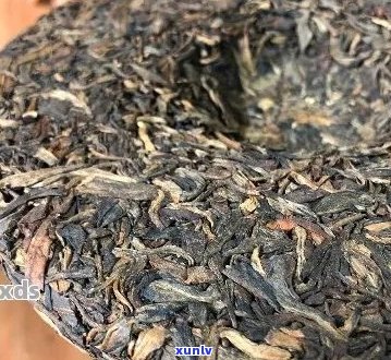 云南昆明茶厂精选普洱茶：茶业领导者的品质之选