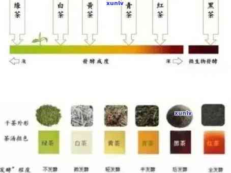 普洱茶生茶色分析