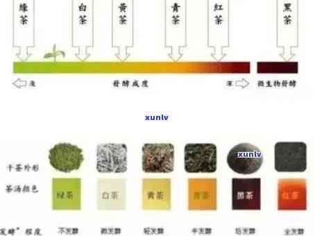 普洱茶生茶色分析