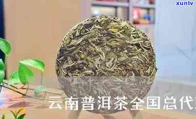 临沧普洱茶区域 *** 