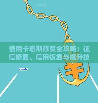 从颜色、纹理、透明度到 *** 工艺，全面解析如何鉴别翡翠手镯的真伪与品质