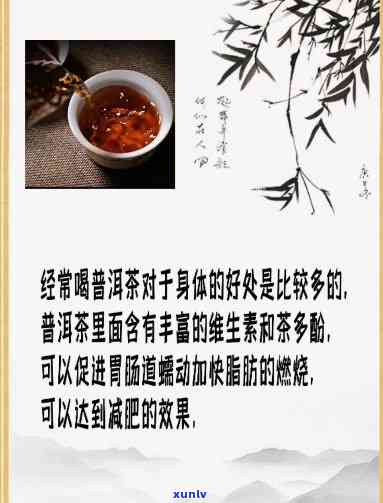 喝普洱有什么好处处