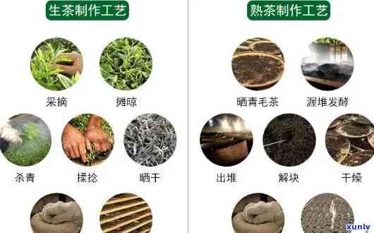 普洱茶的 *** 工艺、种类及其品质特点分析