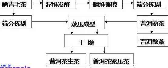 普洱茶的 *** 工艺、种类及其品质特点分析