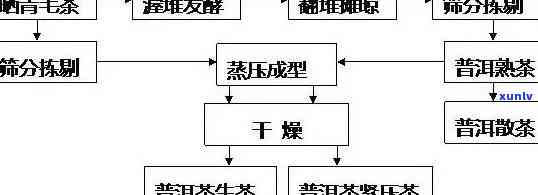  *** 普洱茶加盟流程