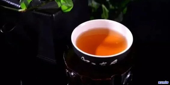 对普洱茶的赞誉词：品茗普洱，感受生命之韵