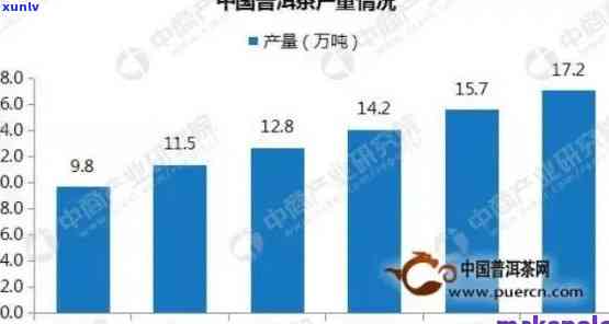 普洱茶全国市场分析：趋势、前景与行业现状