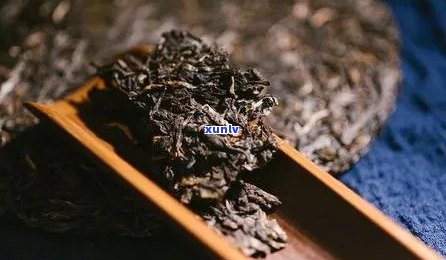 普洱茶熟普哪款最香？哪个品质好？