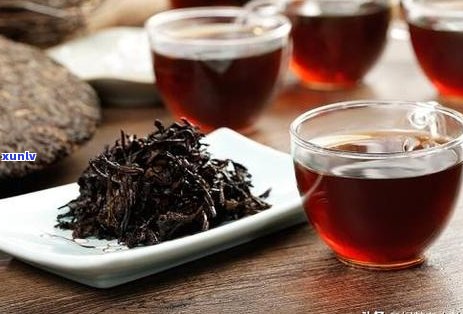 普洱茶种植、加工与品饮全攻略：技术与管理要点解析