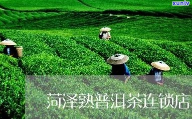 菏泽普洱茶加盟