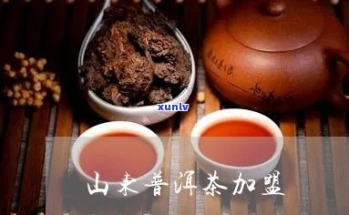 菏泽普洱茶加盟