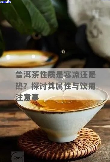 糯香普洱茶寒性的吗