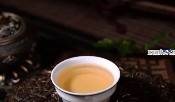 糯香普洱茶寒性的吗