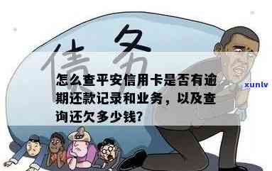 平安银行信用卡欠款查询全攻略：详细了解客户账单金额与还款情况